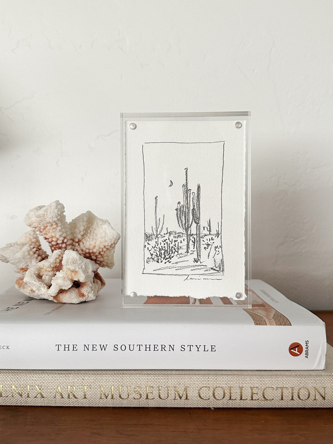Drawing of cacti in a frame, with coral and books.