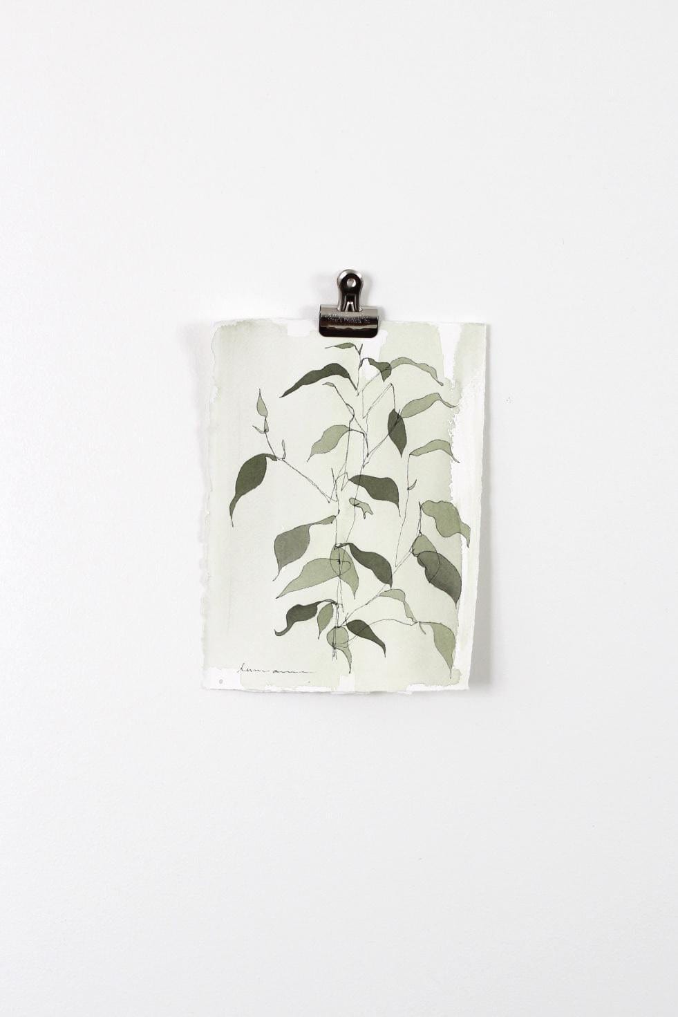 Botanical illustration print, fullsizeoutput_2c68
