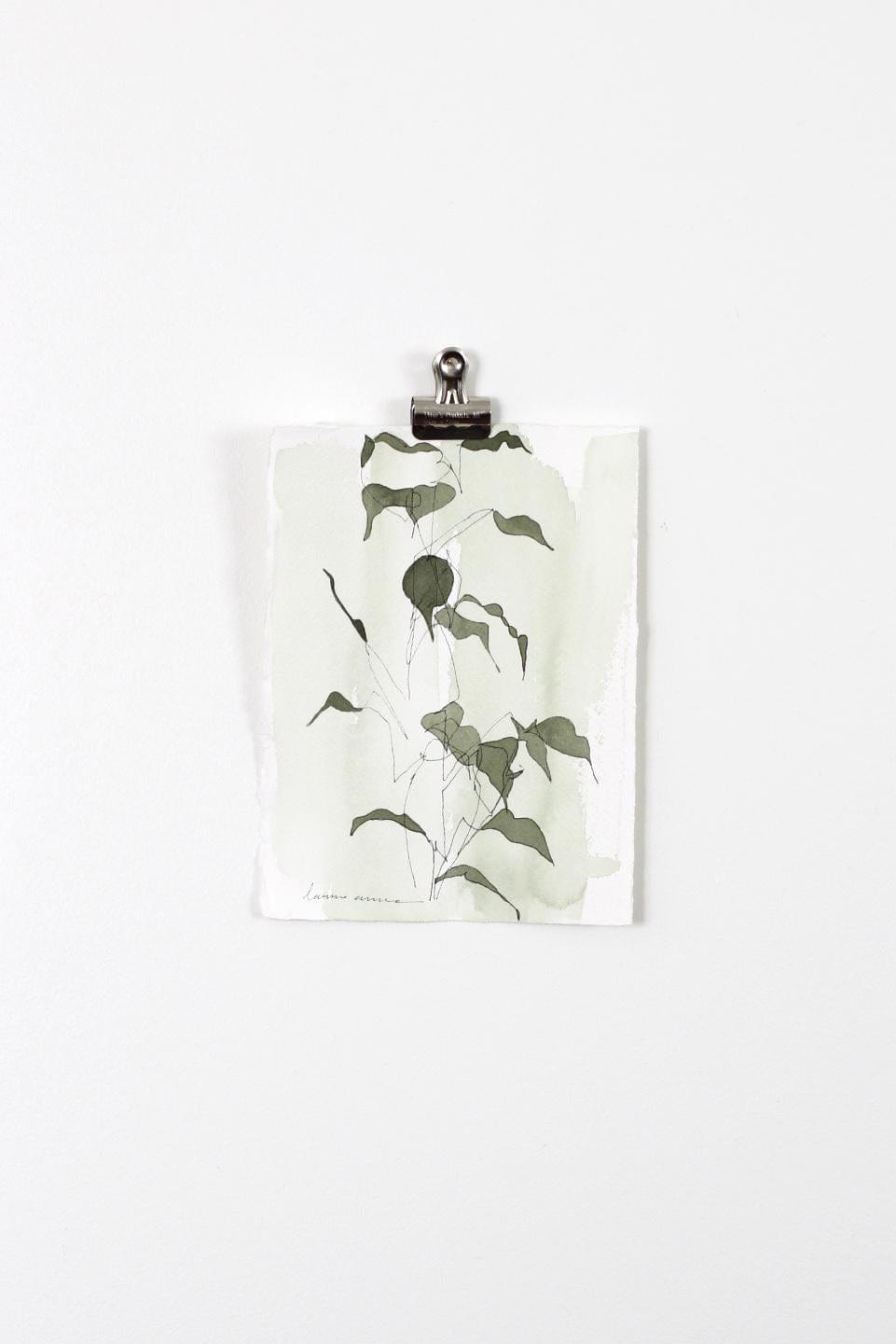 Artwork of plant clipping, clipped to wall.