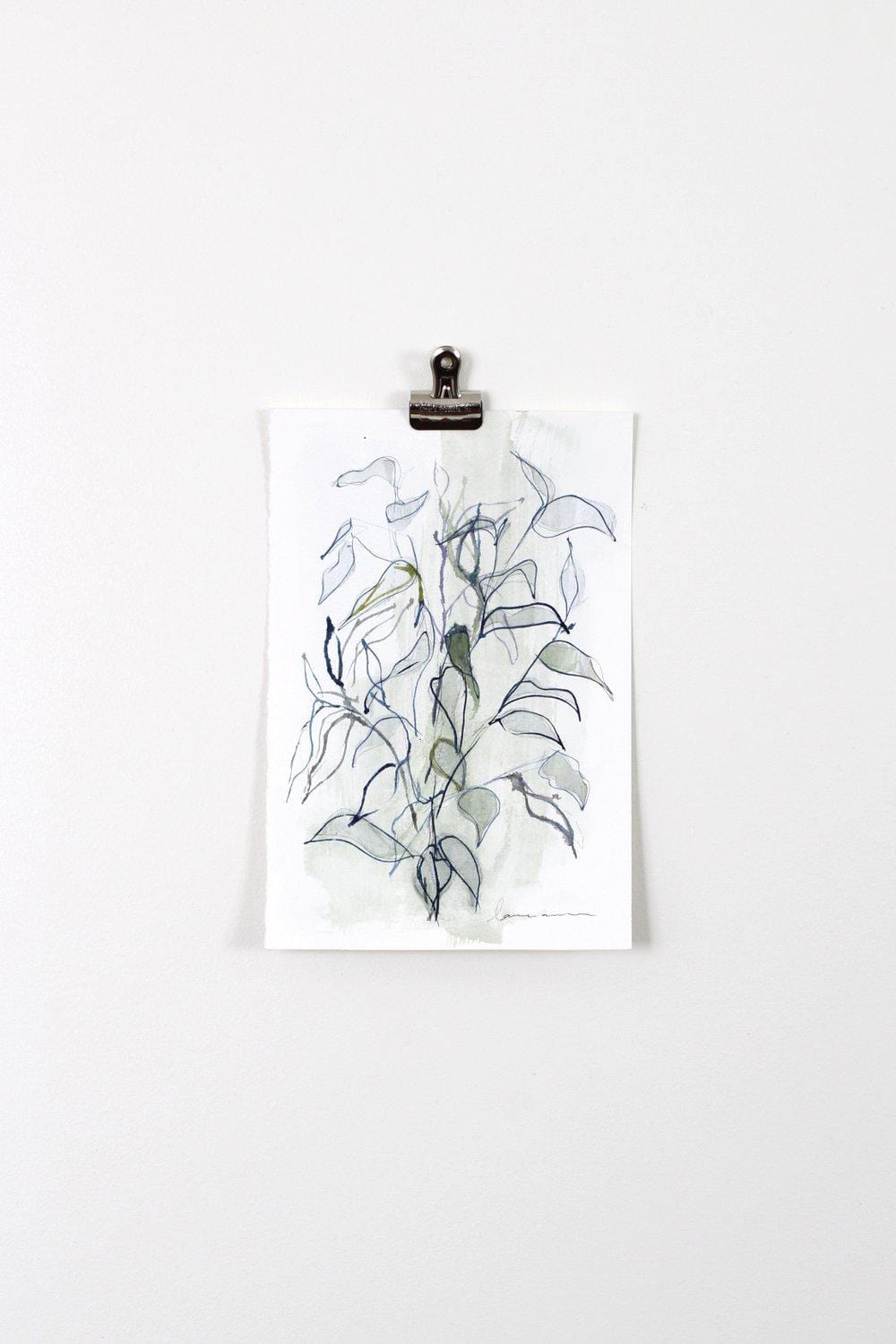 Ink botanical illustration print