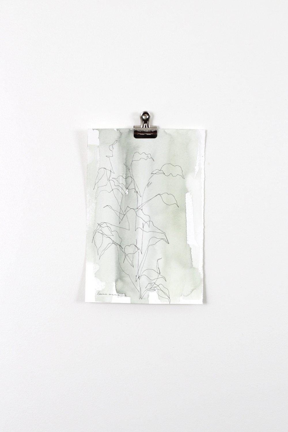 Plant sketch art print clipped to wall