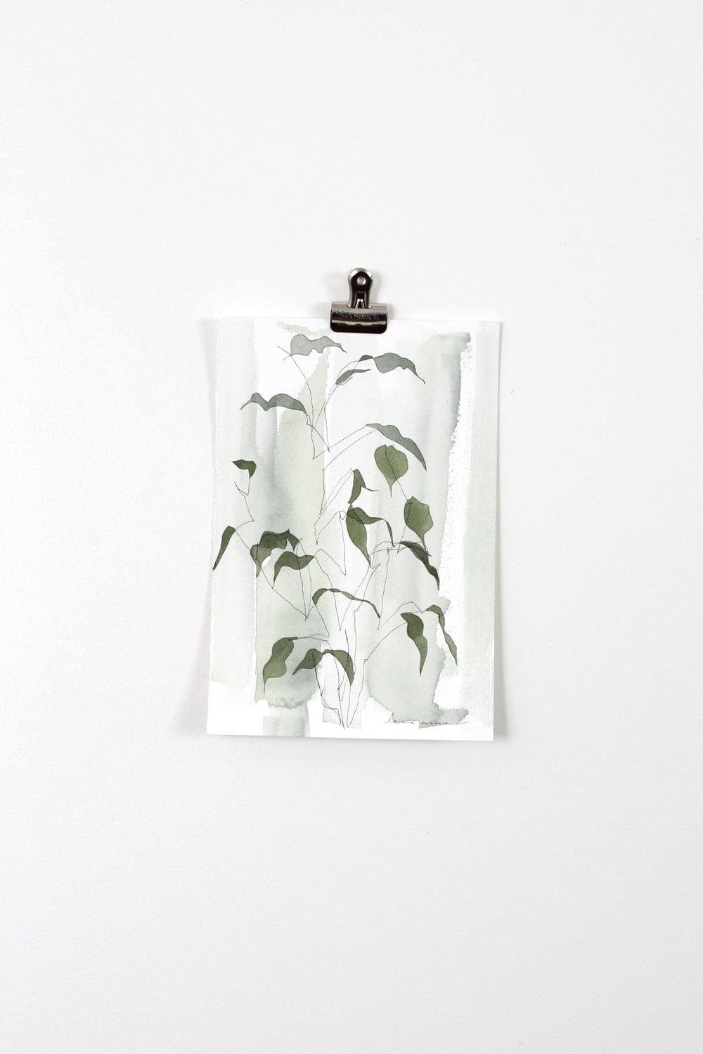 Botanical print of plant clipped to wall