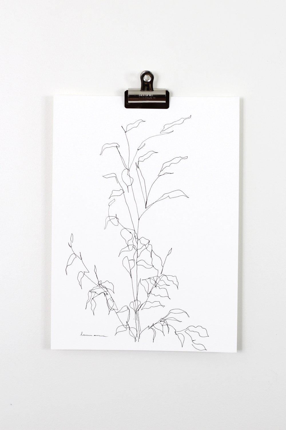 "Blind Contour Botanical Line Drawing 1" 11x15