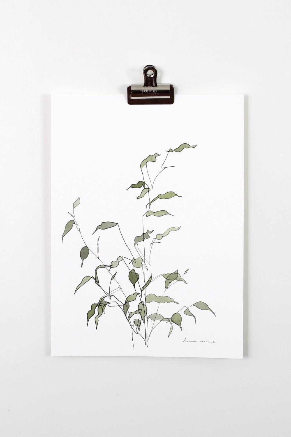 Botanical illustration print clipped to wall