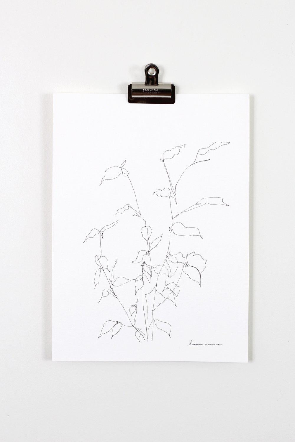 "Blind Contour Botanical Line Drawing 3" 11x15