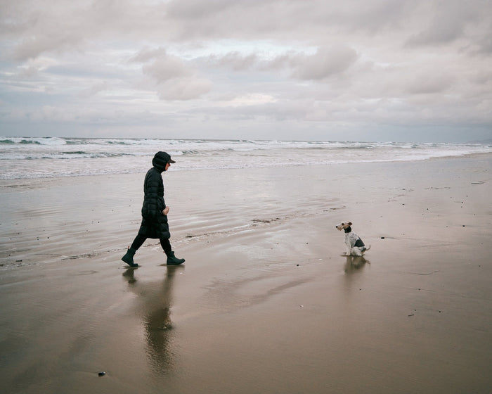 gallery wall of art prints