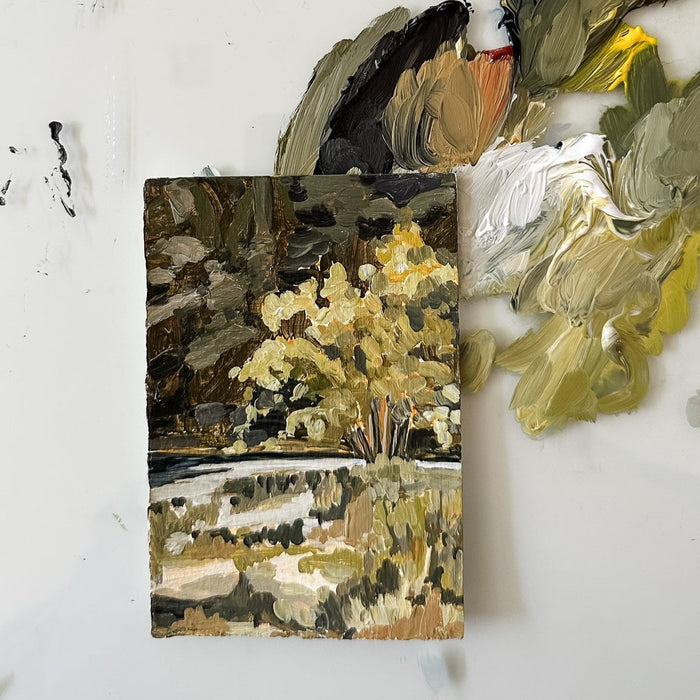 Laurie Anne Land: September 2023