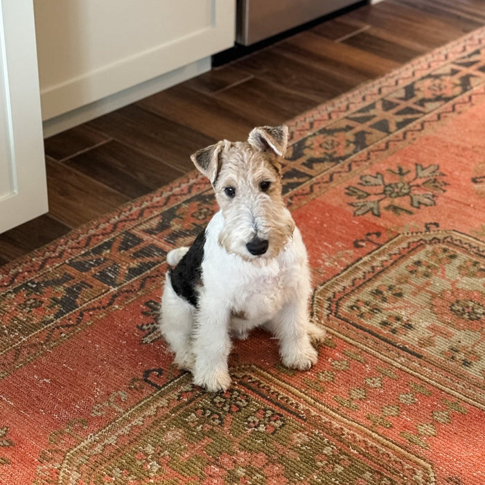 Laurie Anne Land: December 2023