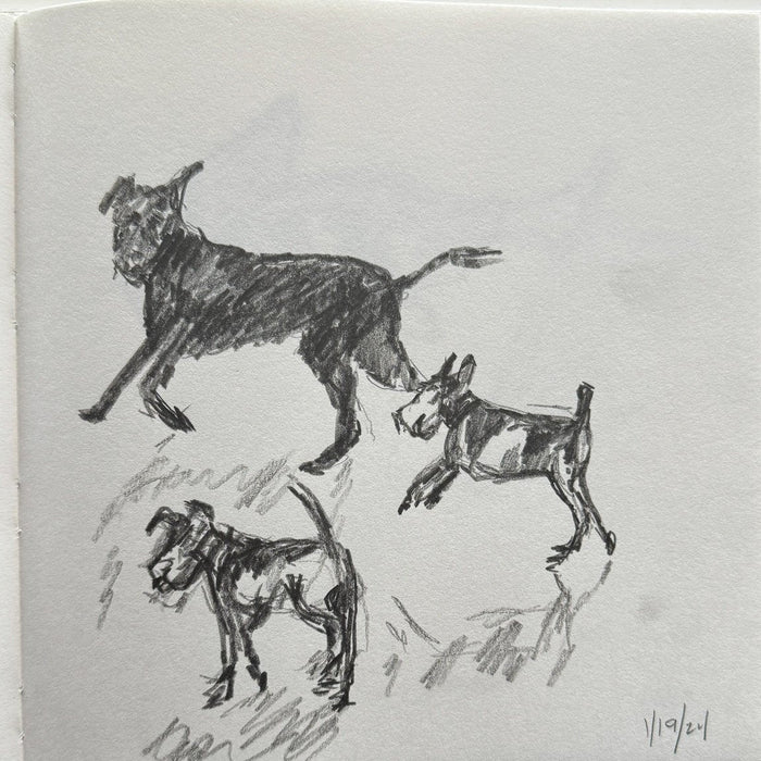 Laurie Anne Land: February 2024