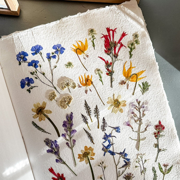 Laurie Anne Land: August 2023