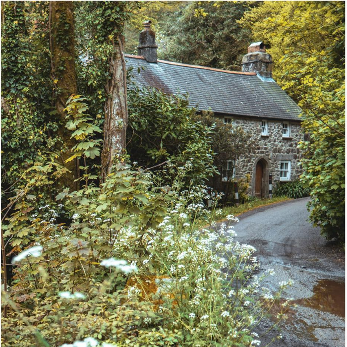 Laurie Anne Land: June 2023