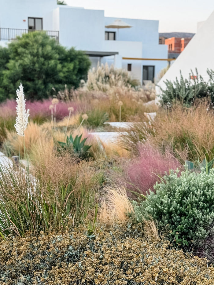 Chasing the Last Days of Summer: The Stories Behind My Greece Art Prints 'Parilio' and 'End of Summer'