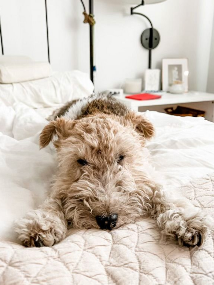 Laurie Anne Land: November 2023