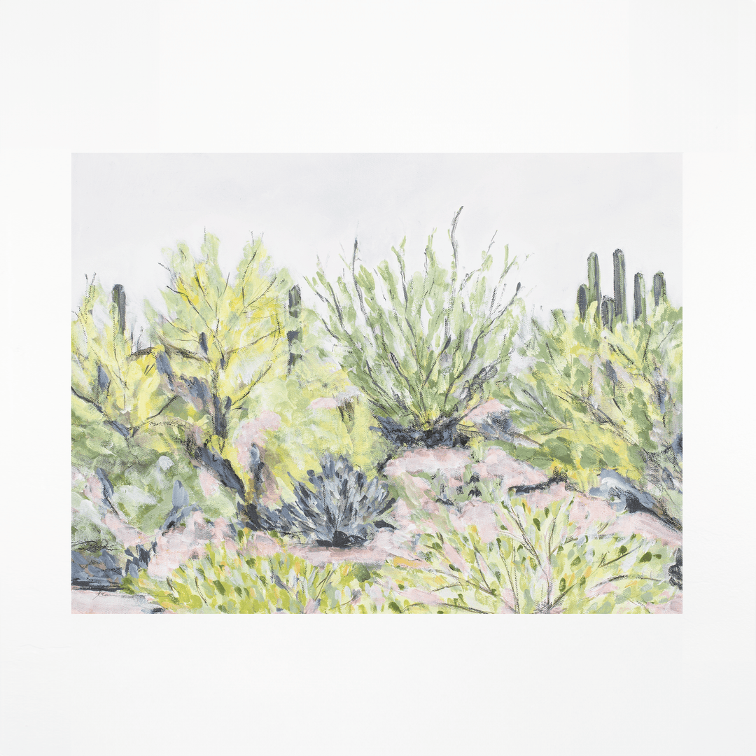 Desert Plants