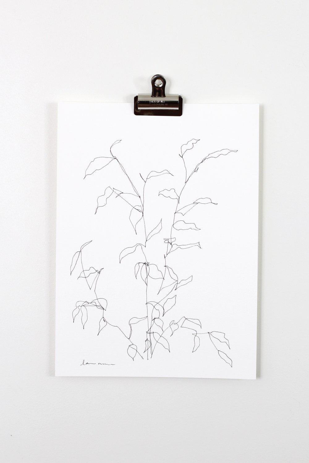 "Blind Contour Botanical Line Drawing 2" 11x15