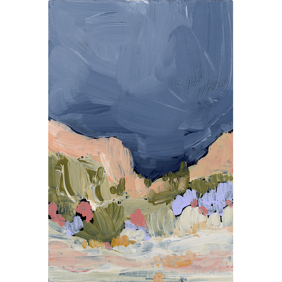 "Joshua Tree Rainy Morning"